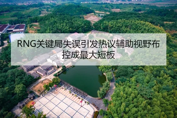 RNG关键局失误引发热议辅助视野布控成最大短板 - MANBETX